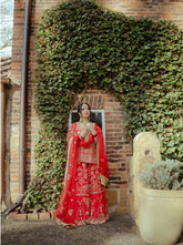 Red Sharara Suit