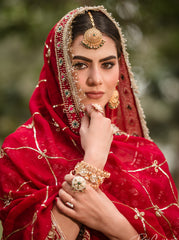Maroon Bridal Lehenga with Organza Dupatta