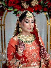 Rust Shimmer Tissue Lengha
